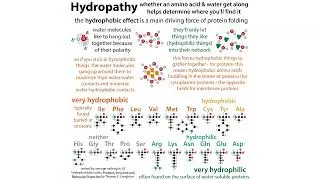 Think like a biochemist: intuitive thinking about charge & intermolecular forces (IMFs)