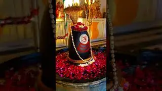 Mahadev WhatsApp Status Video ☘️ | bholenath whatsapp status video 🔱 | #mahadev #shorts #video #shiv
