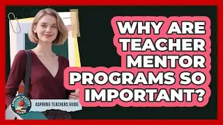 Why Are Teacher Mentor Programs So Important? - Aspiring Teacher Guide