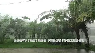 ASMR Rainstorm Sounds | Heavy Rain and Strong Wind for Relaxing