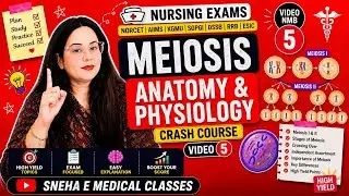 Meiosis || Cell Cycle || Anatomy & Physiology || KGMU | NORCET | AIIMS | SGPGI | DSSB ||