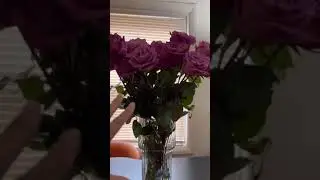 Ribbed Vase,Flower Vases Large Glass Vase,Clear Flower Vase Review, Heavy and a good design  Very go