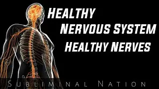 Healthy Nervous System + Heal Damaged Nerve Strong Subliminal Affirmations