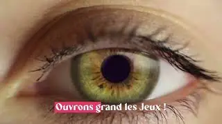 Bient&ocirc;t les Jeux Paralympiques &agrave; Plaine Commune !