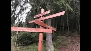 Rundkurs 15 km: Zwischen Altenau und der Wolfswarte. 5 Stempel HWN 132, 133, 134, 135, 149