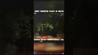 MOST HAUNTED PLACE IN DELHI | DWARKA SECTOR 9 METRO/TREE #shorts  #shortsvideo #delhihauntedplace