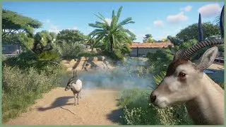 🦌Natural Addax habitat | Soliuko Zoo | Planet Zoo | speedbuild🍁