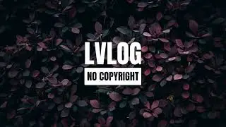Harmony by Pufino | Vlog Music | Loop Vlog Background Music | Vlog No Copyright Music