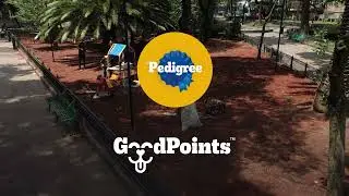 &iexcl;Ven, es momento de conocer el poder de PEDIGREE&reg; GoodPoints&trade;! 🐶💛