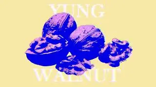 yung walnut - bathroom break