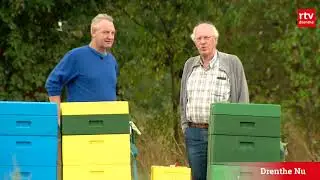 Nuttige afrikaantjes helpen lelies en bijen