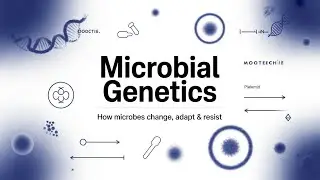 Microbial Genetics Explained | Genes, Variation & Applications | Mootechie