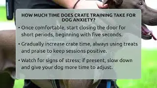 How Much Time Does Crate Training Take For Dog Anxiety? - Obedient Dog Guide