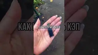 Получение КЭП