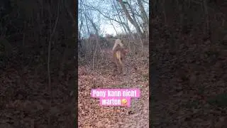 Da war der Kleine Weg✌️😱🐴 #stallvlogg #pferd #pony #pferdeliebe #pferde #pferdeleben #ponyopa