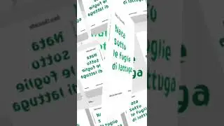 Nata sotto le foglie di lattuga Daisy Chaussette  #books