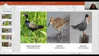 Impact of Urbanization on Wetland Bird Behavior and Habitat Use &ndash; Surya Babu S