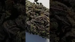 RED HOT COOKIES 🍪