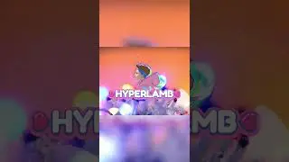 Christmas Music Winterland | HYPERLAMB Winter Music #ChristmasMusic