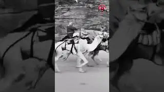 قصه غزو الفارس محمد بن عجوين الرشيدي و من معه من فرسان قبيله بني رشيد الرشايده و قصيده العدو بهم📚