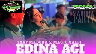 DJ EDINA AGI BY TEAM RILEXS GANK & ASSYIFANADA