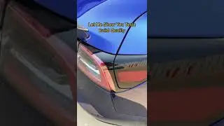 Show you Tesla Build Quality #shorts This is pro man