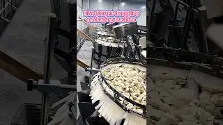 Five frozen dumplings packaging machine.#packagingmachine #factory #dumplings