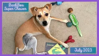 BarkBox Super Chewer July 2023: Was it worth it?