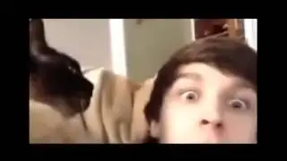 BEST Funny Vines