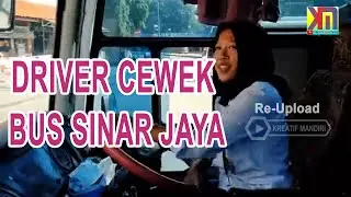 DRIVER BUS SINAR JAYA CEWEK CANTIK