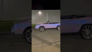 1983 Drop Top Cutlass #short #shorts #shortvideo