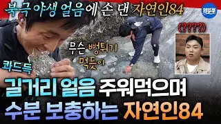 [극한84] 