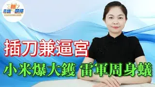 插刀逼宮！雷布斯從威到爆到變鵪鶉，雷軍拆車剝光豬自證都塞唔住眾口，黑粉篤背脊攪局，米粉怒掀倒戈潮，千億車企踩入信任大鑊，昔日封神大佬今時冇曬霸氣，慘過敗家！|小米|汽車|雷軍|粵語|新頭條
