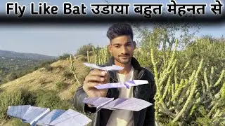 Flying Paper Plane Like Bat | पेपर से बनाई Flying Plane Like Bat | Paper Plane #experiment