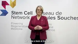 The Stem Cell Network Announces $33M to Advance Regenerative Medicine Research and Clinical Trials