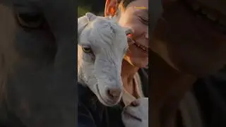 A Bond Beyond Words #15secondlaugh #Shorts #GoatLife #VillageBoy #goat