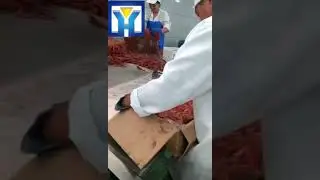 Microwave thawing frozen pork equipment