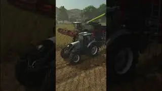 VALTRA T255 VERSU + CLAAS LEXION 6900 Harvesting Soybeans 🌾 | FS25