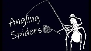 What is Angling Spiders?