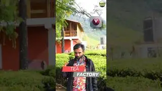 4-acre organic tea estate with a breathtaking lake view bungalow | Tea Factory | Estate | View