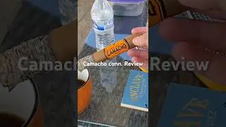 Camacho Connecticut Gordo Review #shortvideo #shorts #review