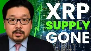 XRP ALL GONE _Wild_