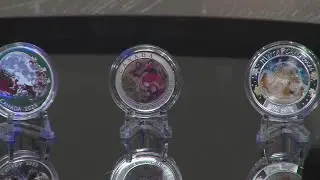 Albuquerque Coin Club explores the world of Christmas coins