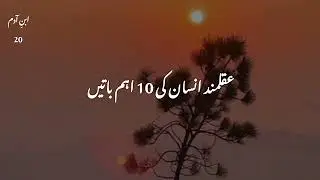 Aqalmand Insan Ki 10 Ahem Baten | Zindagi Ka Nichor | Urdu Motivational & Wisdom Video |