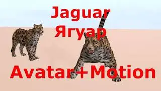 Скачать ресурсы, аватары, анимации, пакеты, для iClone 7 ( Ягуар Avatar + Motion )