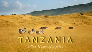 Tanzania 4K | Amazing Journey Into the Wild Heart of Africa