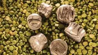 Picasso Jasper Plugs by Oracle Body Jewelry
