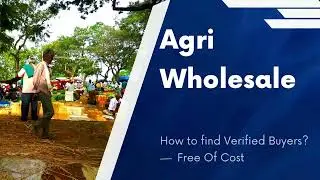 Online wholesale supply business in 6 Steps 📈🤩#bulkbuyers #bulksales #b2bsales #wholesalemarket