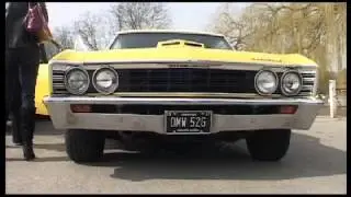 Havering Classic Car Club - American cars - Harrow Lodge Park