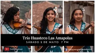 Trío Huasteco Las Amapolas EN VIVO